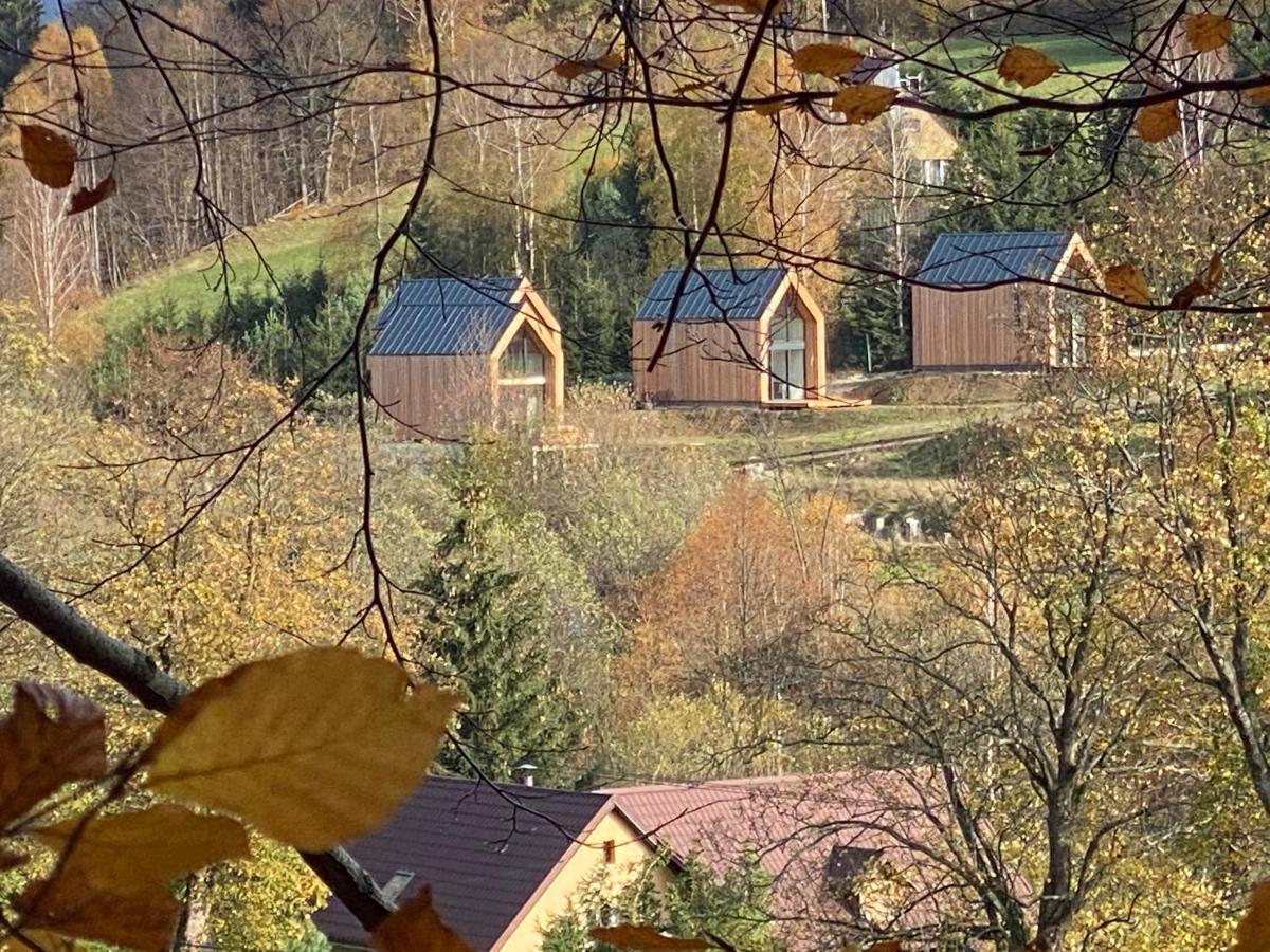 Domki Pod Lasem - Domek Sosnowy Stronie Śląskie Exteriér fotografie