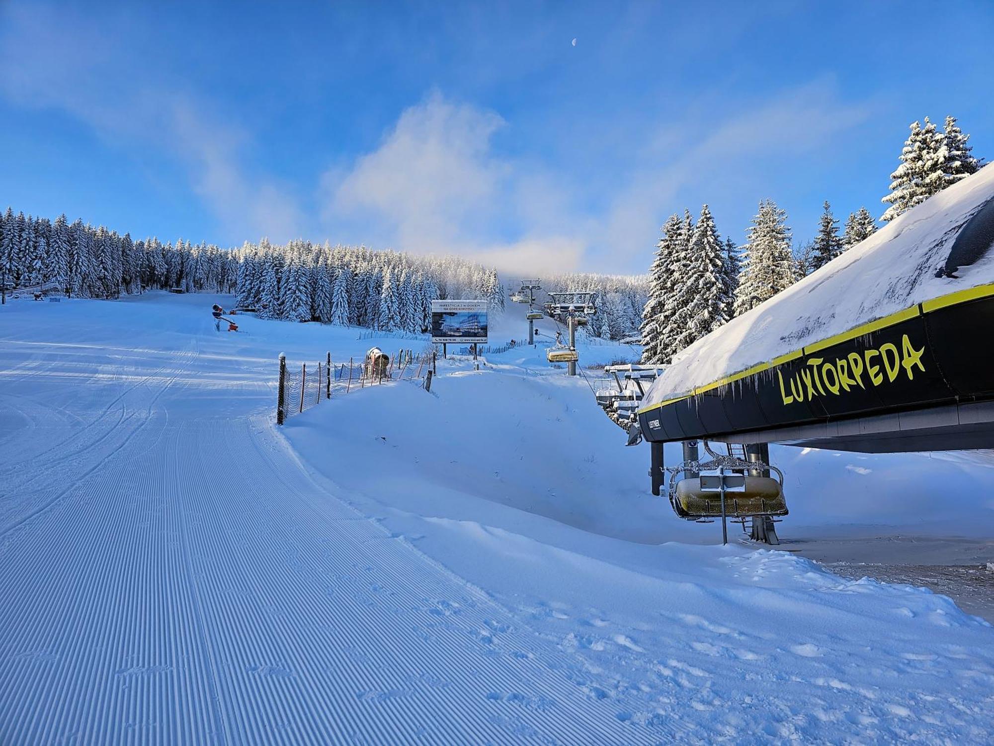 Domki Pod Lasem - Domek Sosnowy Stronie Śląskie Exteriér fotografie