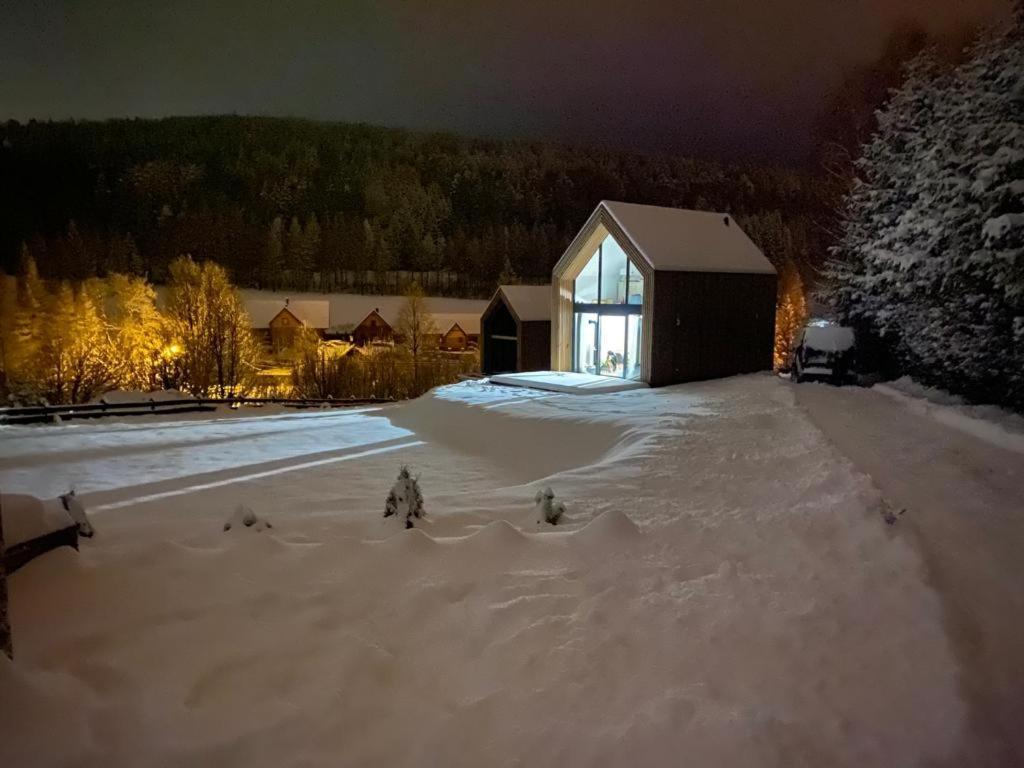 Domki Pod Lasem - Domek Sosnowy Stronie Śląskie Exteriér fotografie