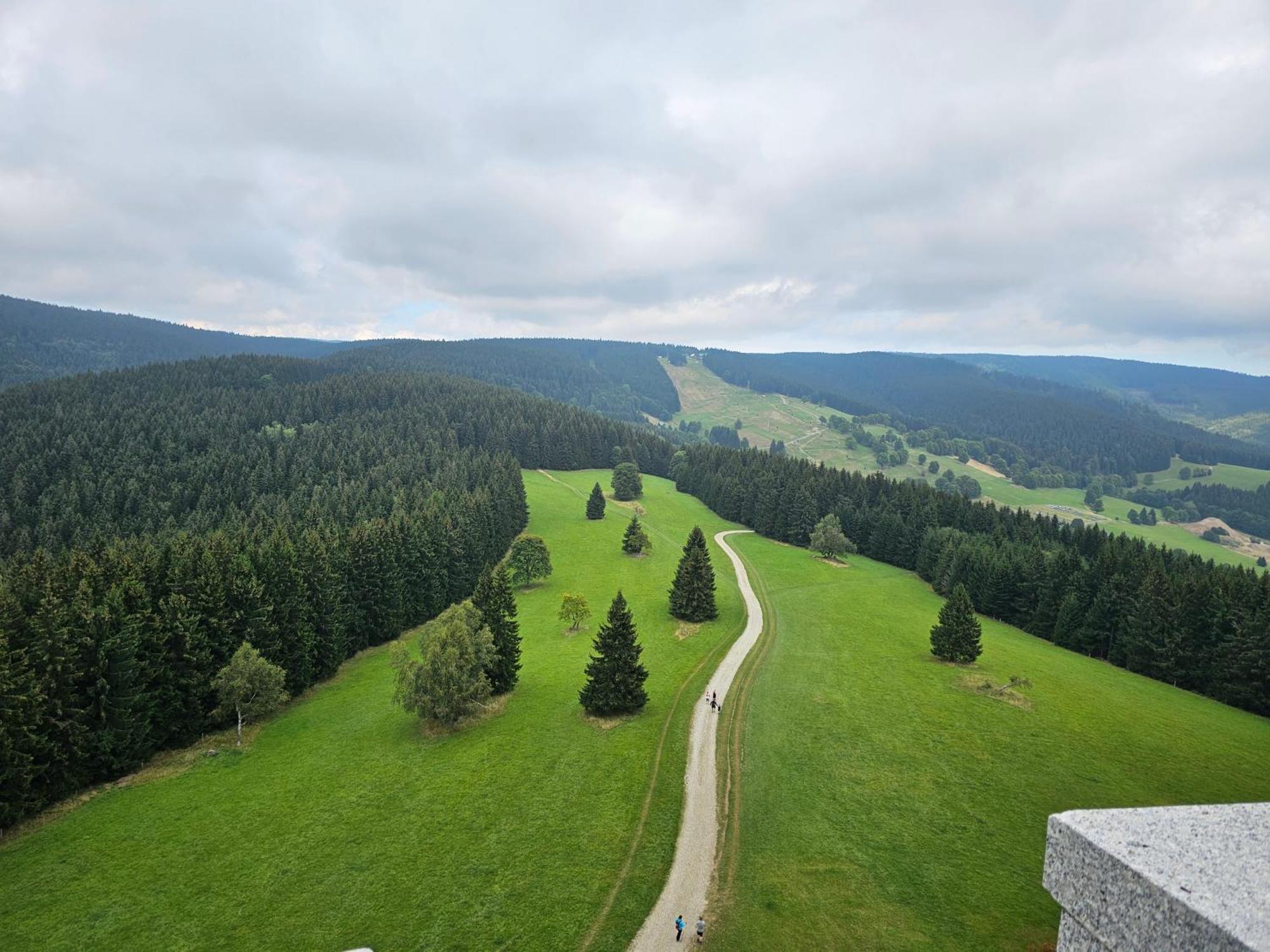 Domki Pod Lasem - Domek Sosnowy Stronie Śląskie Exteriér fotografie